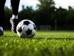 陈芋汐在,米台全国跳,水赛上力克,球盟会首页,球盟会官方网站,球盟会平台,球盟会